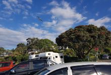 Hot Water Beach - Main Beach Parking景点图片