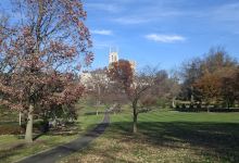 Borough Park景点图片