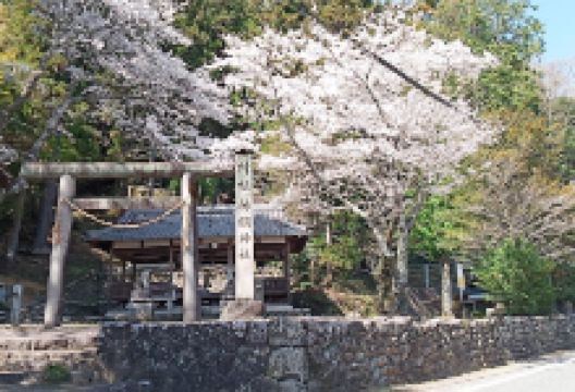 村社神明神社景点图片