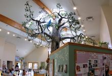 Mount Laurel Animal Hospital景点图片