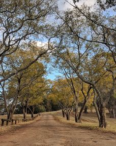 Bimbadeen Lookout-蒙恩维优