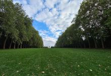 Jardins Vaux-le-Vicomte景点图片