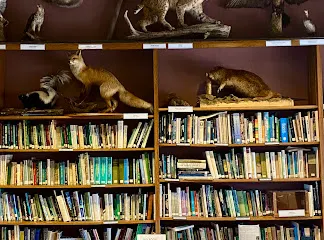 Environmental Education Center at Lord Stirling Park