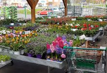 Lagerhaus Bau- und Gartenmarkt购物图片