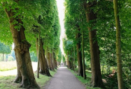 Hundewald Glücksburg景点图片