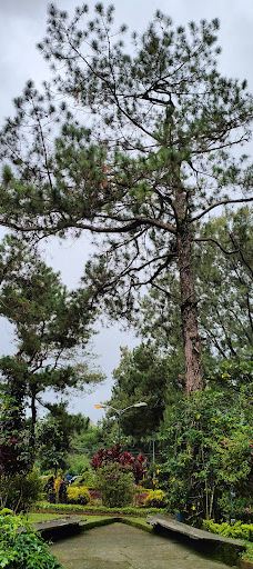 碧瑶日落公园-碧瑶