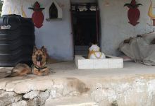 Old Shiv Mandir Hiragir Dafai景点图片