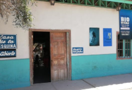 Museo Casa La Esquina, Dinosaurios景点图片