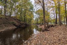 Lions Park景点图片