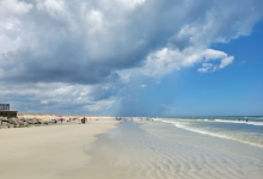 The St. Augustine Beach Art Studio & Gallery景点图片