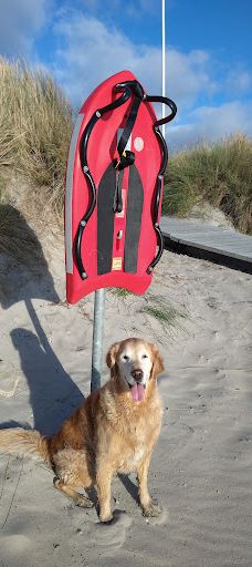 Lyngså Strand-赛比