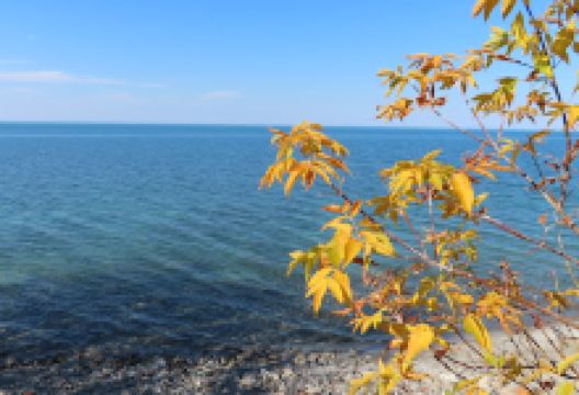 Lakebreeze Park景点图片