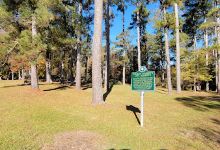 Owl Creek Indian Mounds景点图片