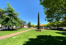 Norwood Memorial Gardens景点图片
