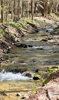 Jones Park-维斯塔