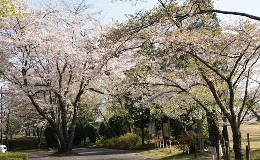 Hatago Pond