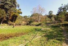 Ntchezgo garden景点图片