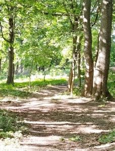 耶稣圣驴石-佐马尔迪