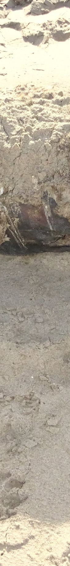 长滩休闲公园-Langstrand