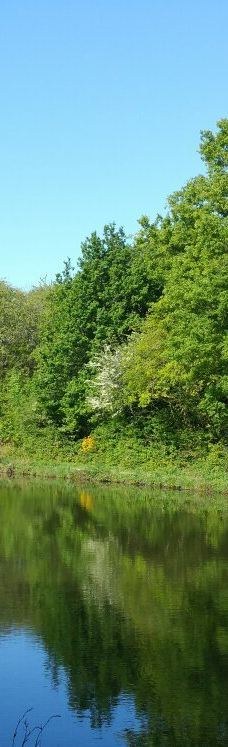 Parc des Gayeulles-雷恩