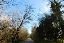 Nature Reserve Municipal Santa Catalina景点图片