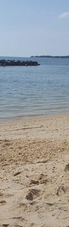 Point Lookout State Park-圣玛丽县