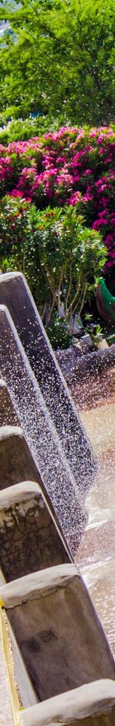 Wet 'N' Wild Waterworld-安东尼