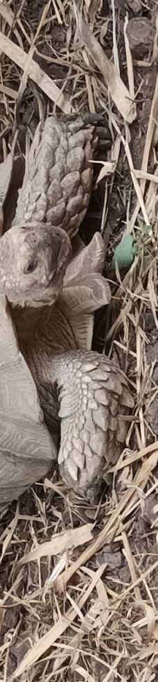 Butterfly Park Empuriabrava-Alt Emporda