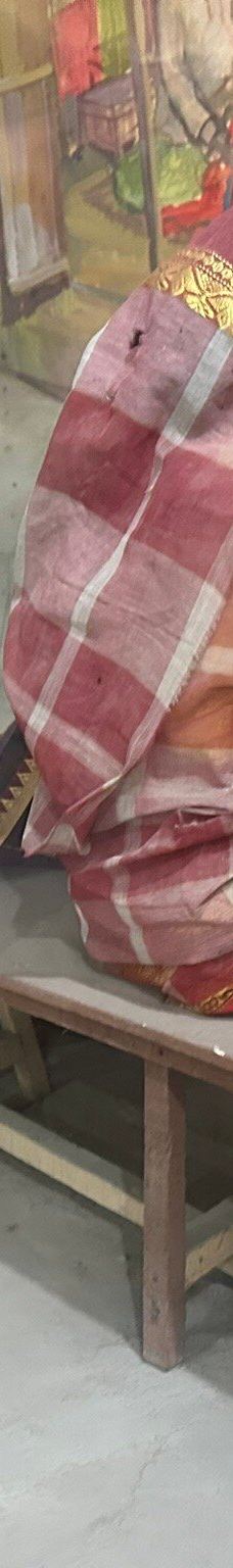 Bangladesh Folk Art & Crafts Foundation-索纳尔冈乌帕齐拉