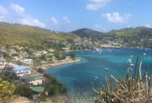 Hamilton Fort景点图片