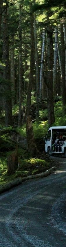 Glacier Gardens Rainforest Adventure-朱诺