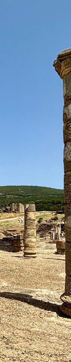 巴埃洛克劳狄亚-塔里法