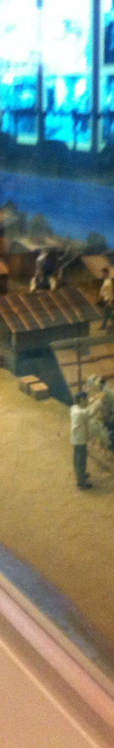 束草私立博物馆-束草市