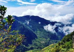travel picture