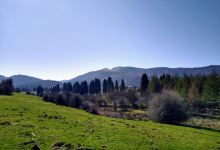 Gorbeia Parke Naturala景点图片