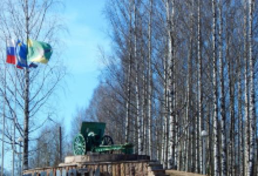 Пушка-гаубица景点图片