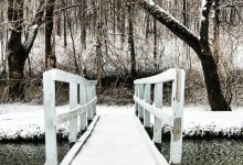 Tawawa Park景点图片