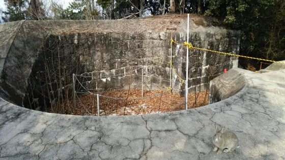 Remains of Southern Searchlight Control Station