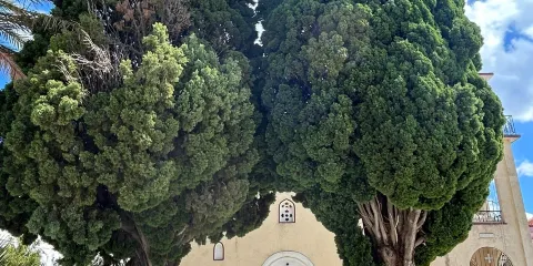 The Monastery of Zoodochos Pigi