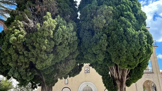 The Monastery of Zoodochos Pigi