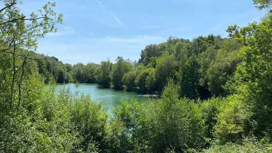 Swanwick Lakes