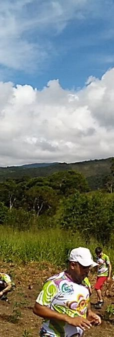 Parque Estadual Mata do Limoeiro-伊塔比拉