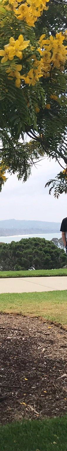 Doris Walker Overlook-达纳点