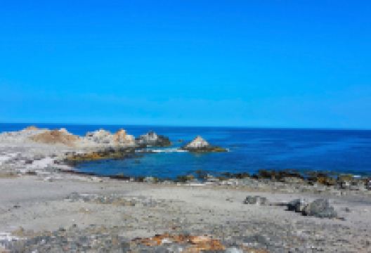 Punta de Coles景点图片