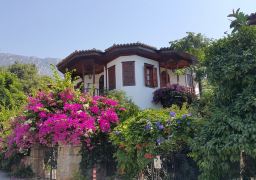travel picture