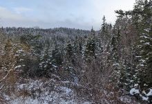 Hemlock Trail- Strait Area Community trail景点图片