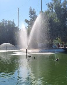 Bandarabbas Birdgarden-阿巴斯港