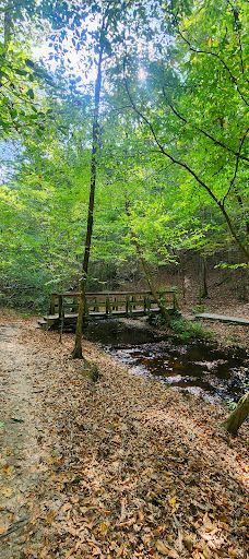 Stillhouse Hollow Falls-摩利县