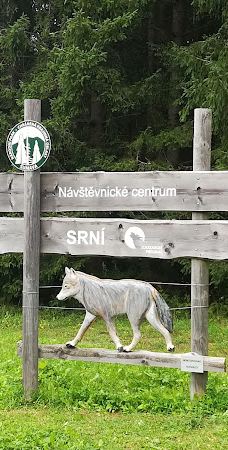 Vlčí výběh Srní (podívání zvenku)-斯尼