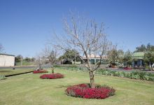 Rose Garden景点图片